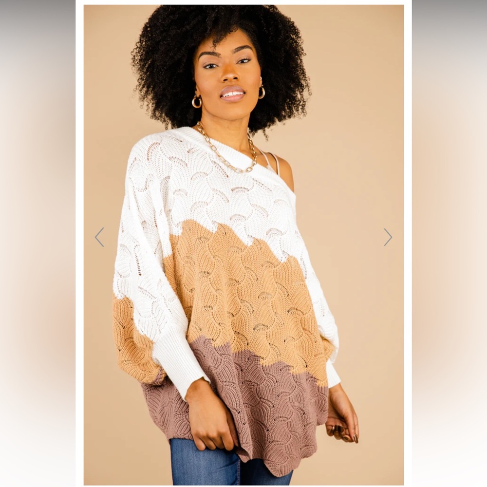 Andree Perfect Plan Mocha Colorblock sweater from Mint Julep Boutique